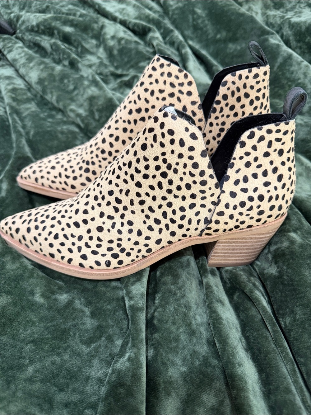 Dolce Vita Leopard Spot Pointed Ankle Booties - Black & Cream - Picture 2 of 4